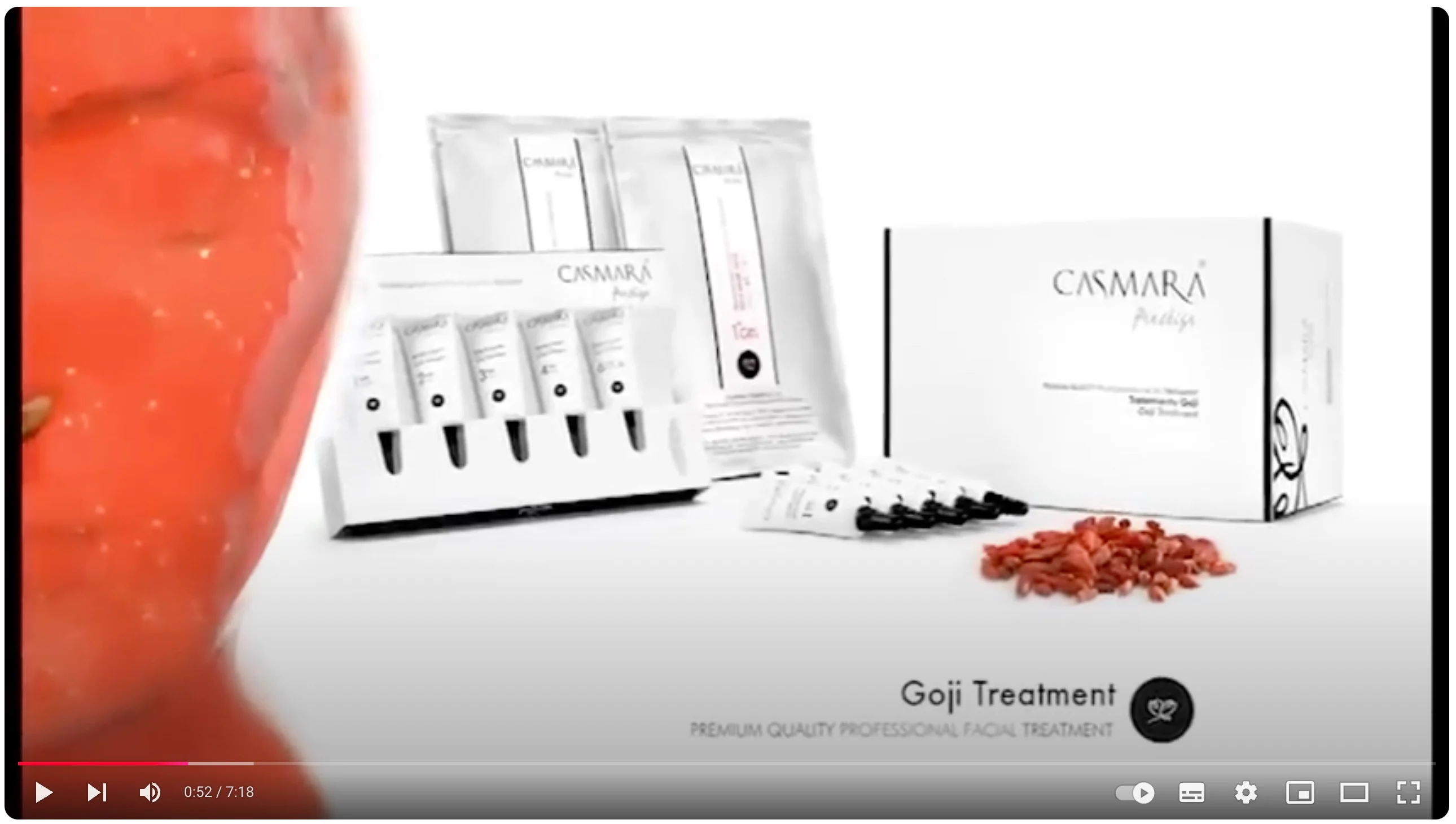 Preview image for the video