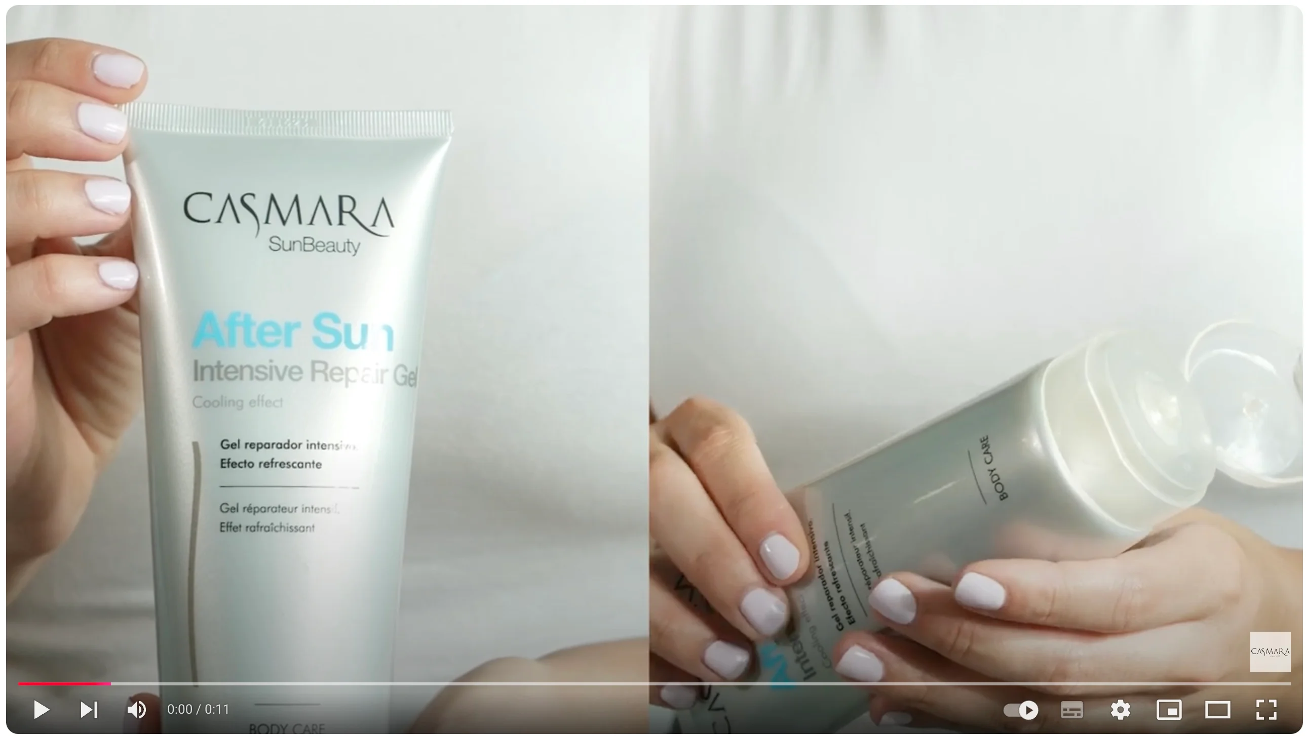 Preview image for the video