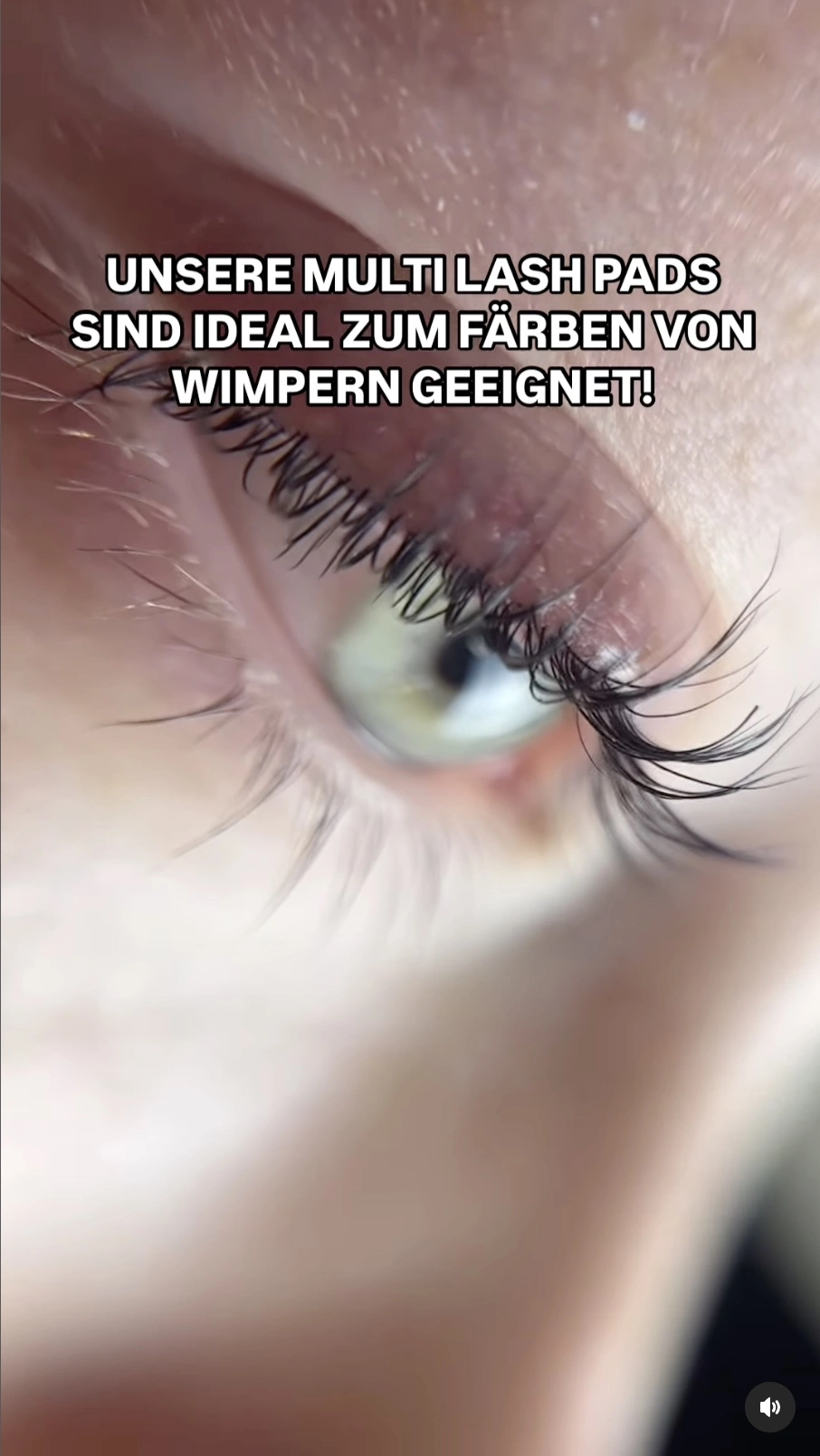 Vorschau-Bild fürs Video