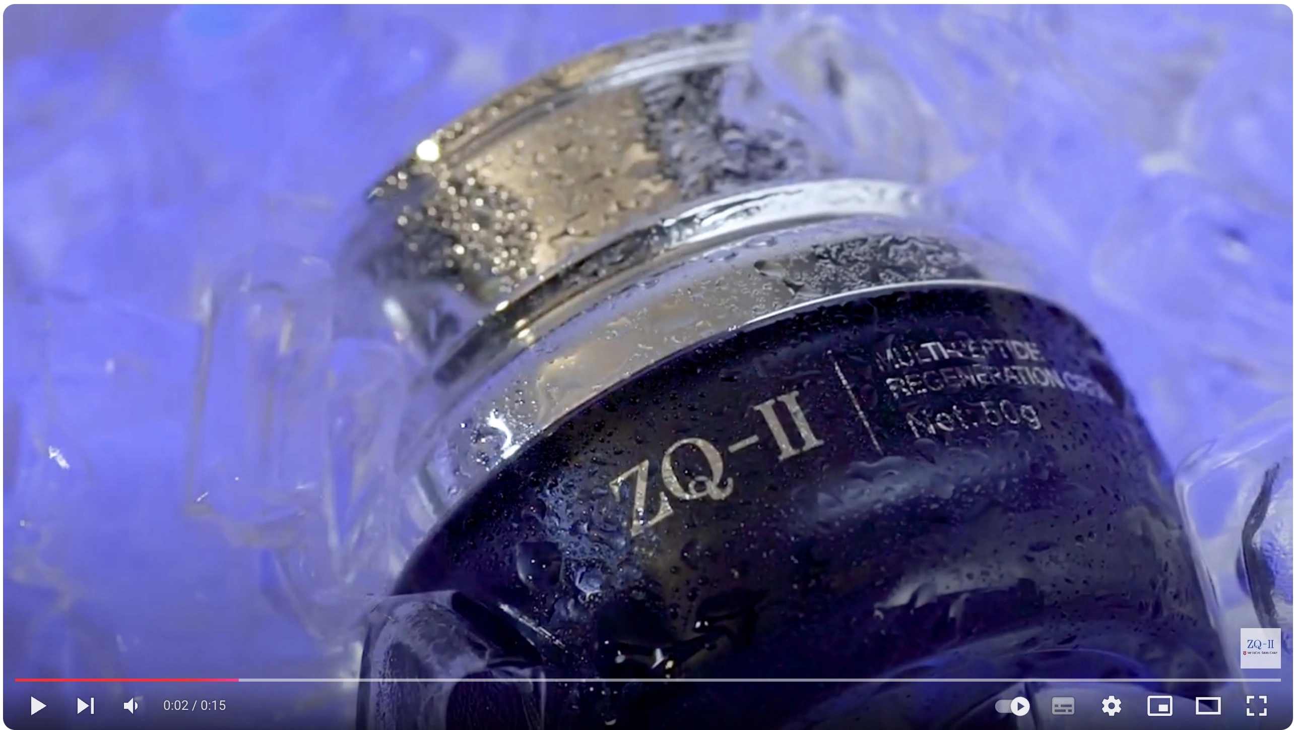 Preview image for the video