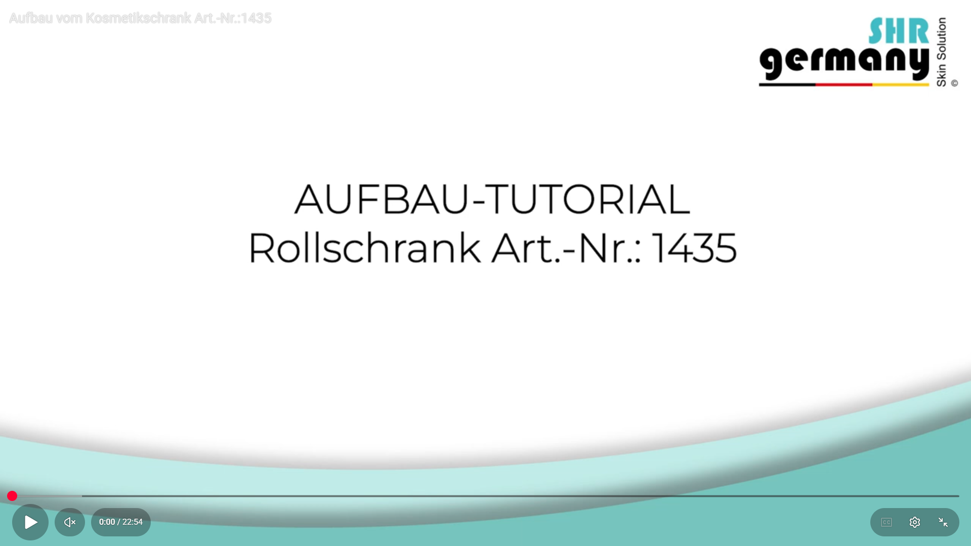 Preview image for the video