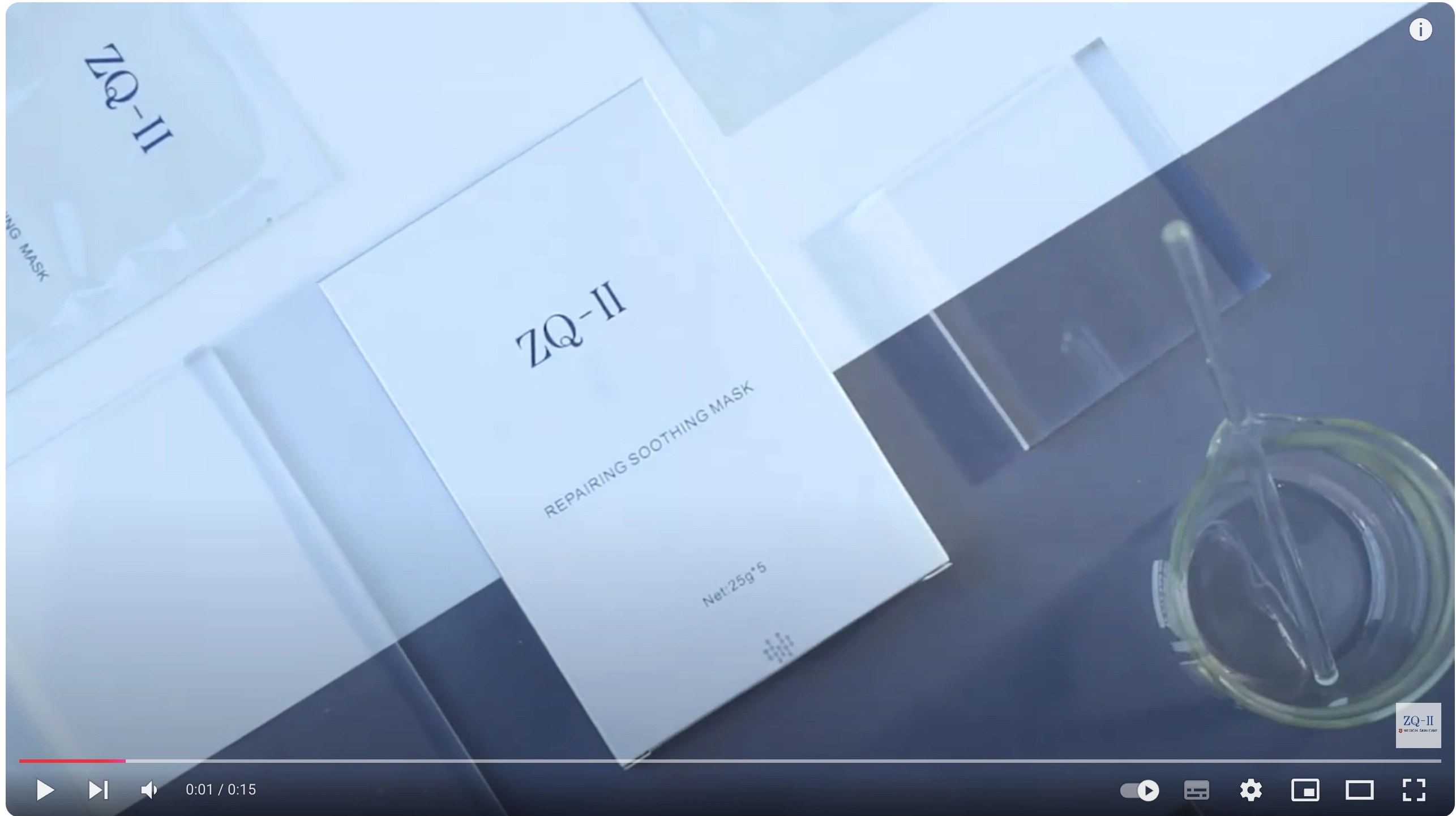 Preview image for the video